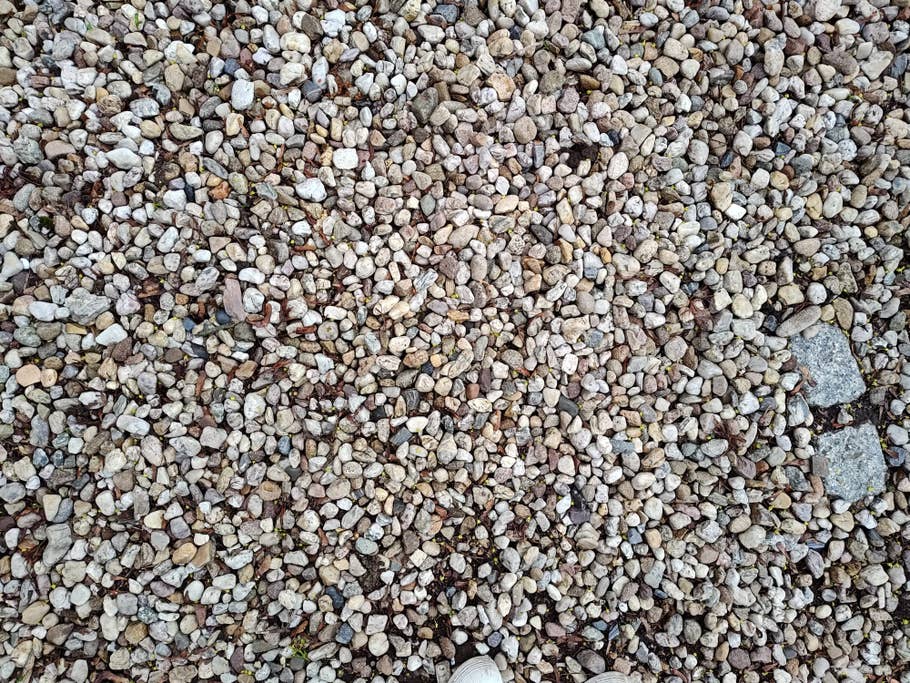 Motorola Edge+ (2023) review picture