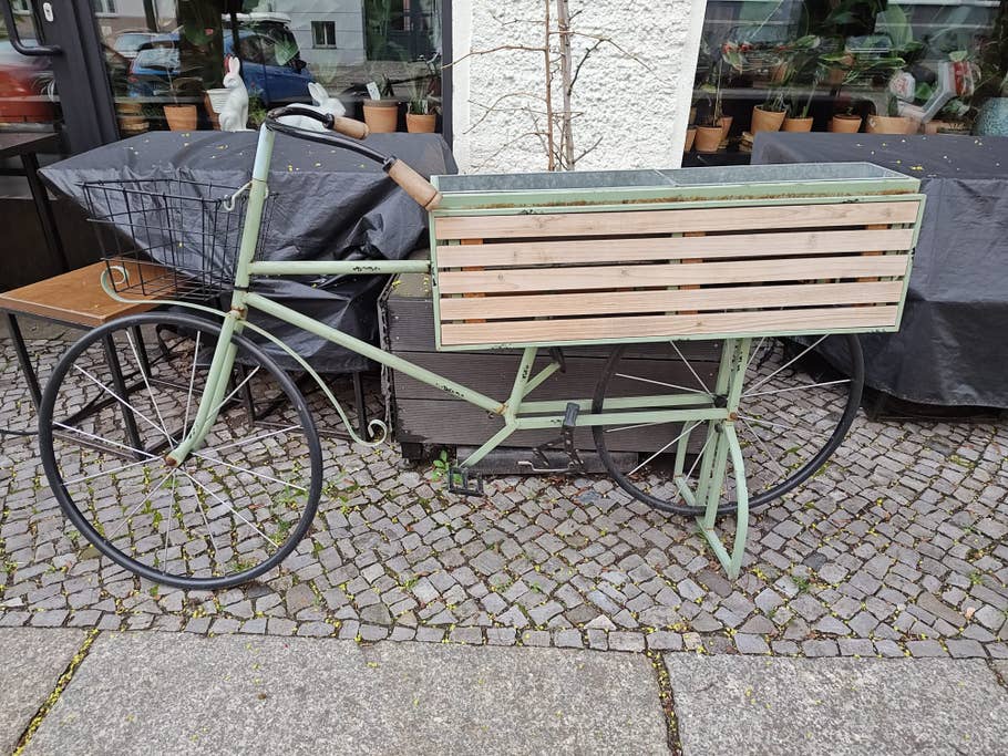 Motorola Edge+ (2023) review picture