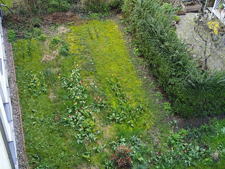 Motorola Edge 40 Pro Testfotos