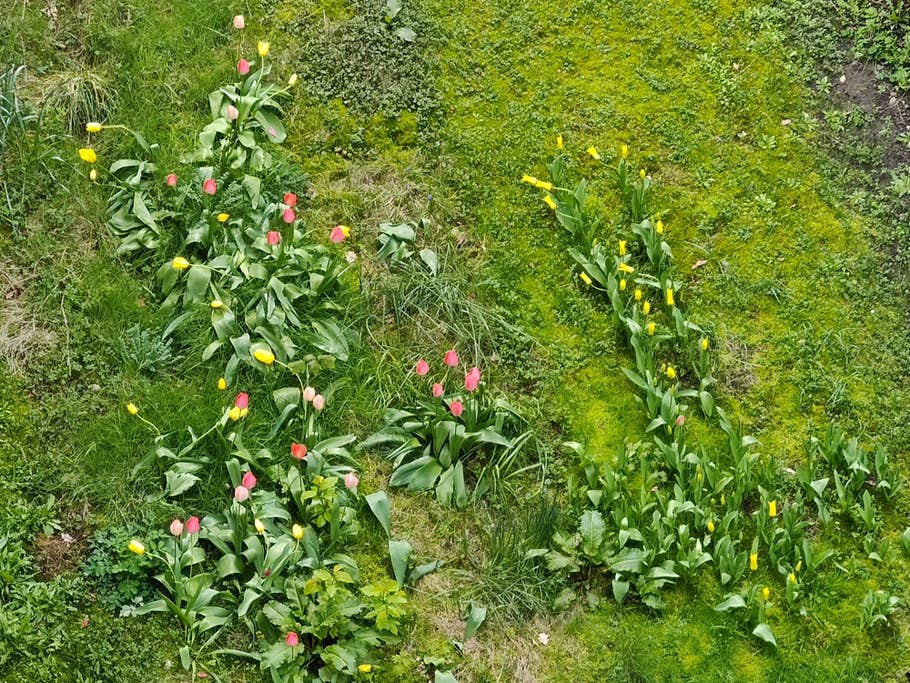 Motorola Edge 40 Pro Testfotos