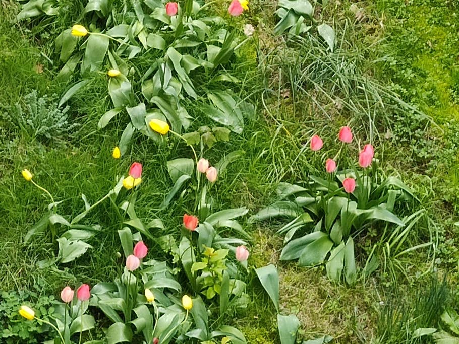 Motorola Edge 40 Pro Testfotos