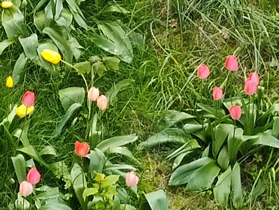 Motorola Edge 40 Pro Testfotos