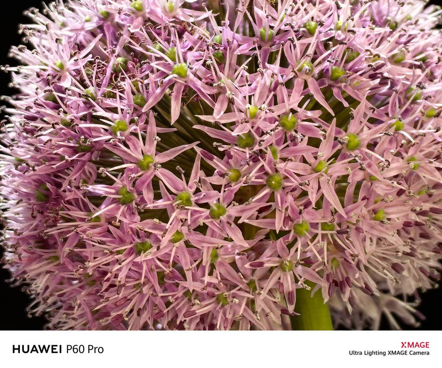 Sample photo taken with the Huawei P60 Pro