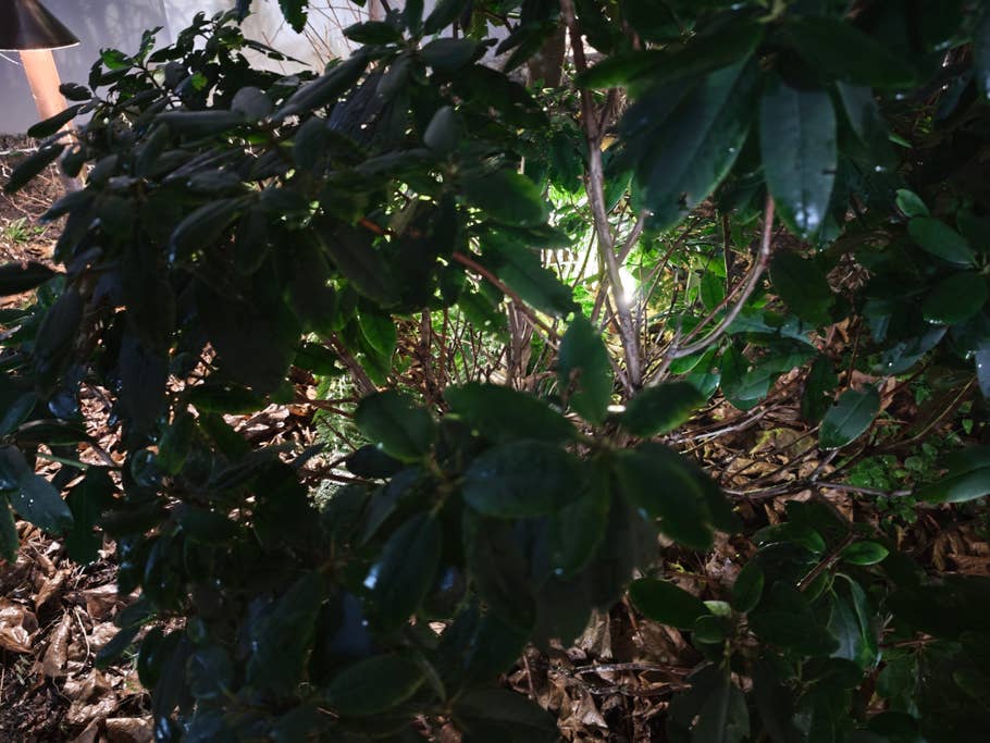 Xiaomi 14 Pro photo gallery