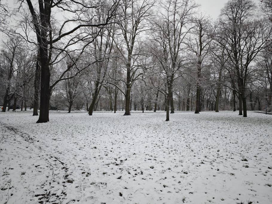 Xiaomi 14 Pro photo gallery