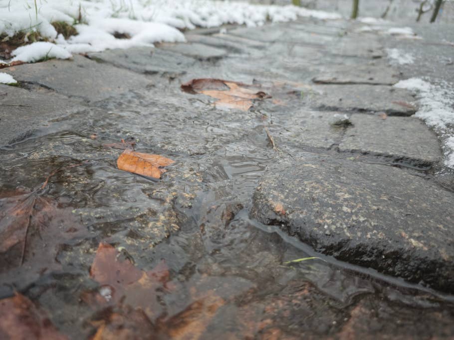 Xiaomi 14 Pro photo gallery