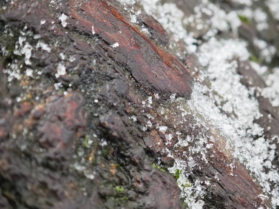 Xiaomi 14 Pro photo gallery