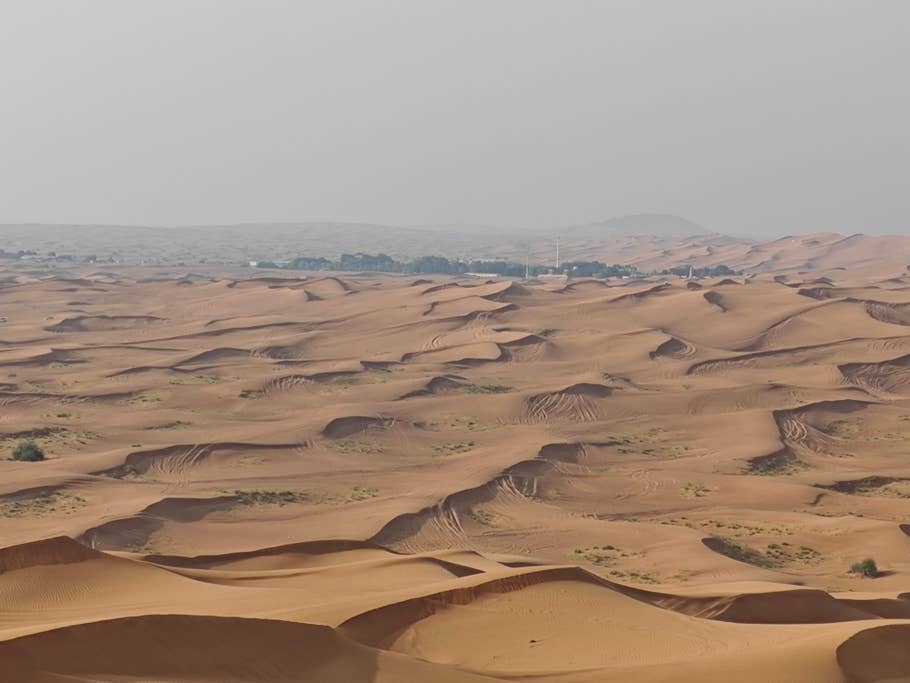 Poco F6 Pro: Main camera (4x digital zoom)