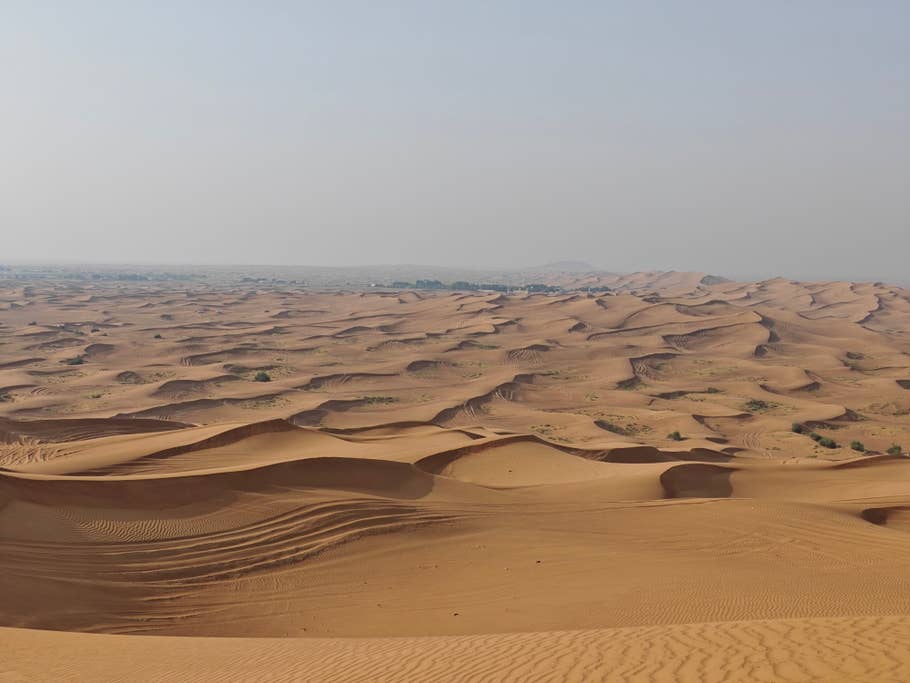 Poco F6 Pro: Main camera (2x digital zoom)