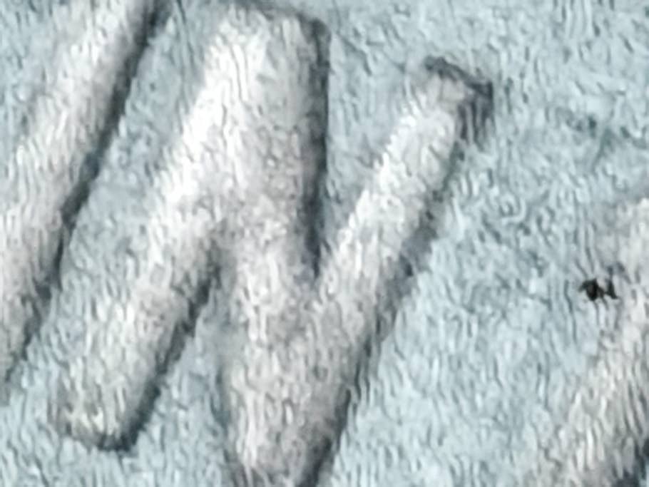 Honor 200 Pro: Telephoto camera (50x digital zoom)