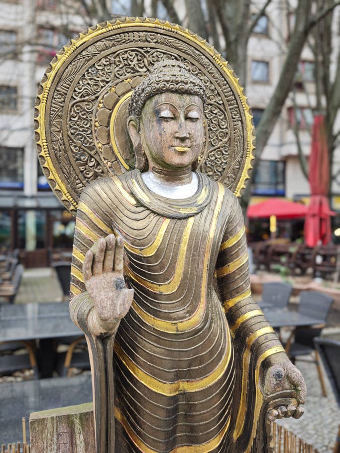 Xiaomi 15: Main camera - Mode Leica Portrait