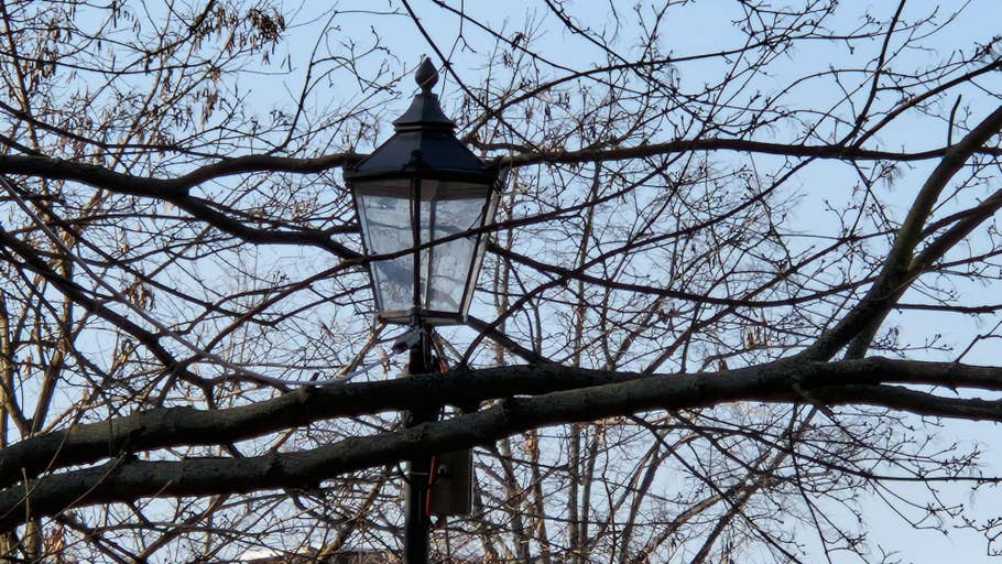 Samsung Galaxy S22 Review images