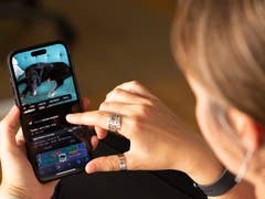 A person using the Look Up feature on an iPhone 14 Pro Max