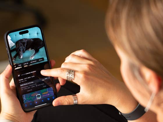 How to Use Visual Look Up and Identify Objects in Videos and Photos on iPhone