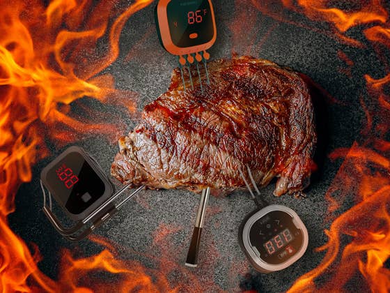 Best Smart BBQ Thermometers: Which is the Best Model in 2023?