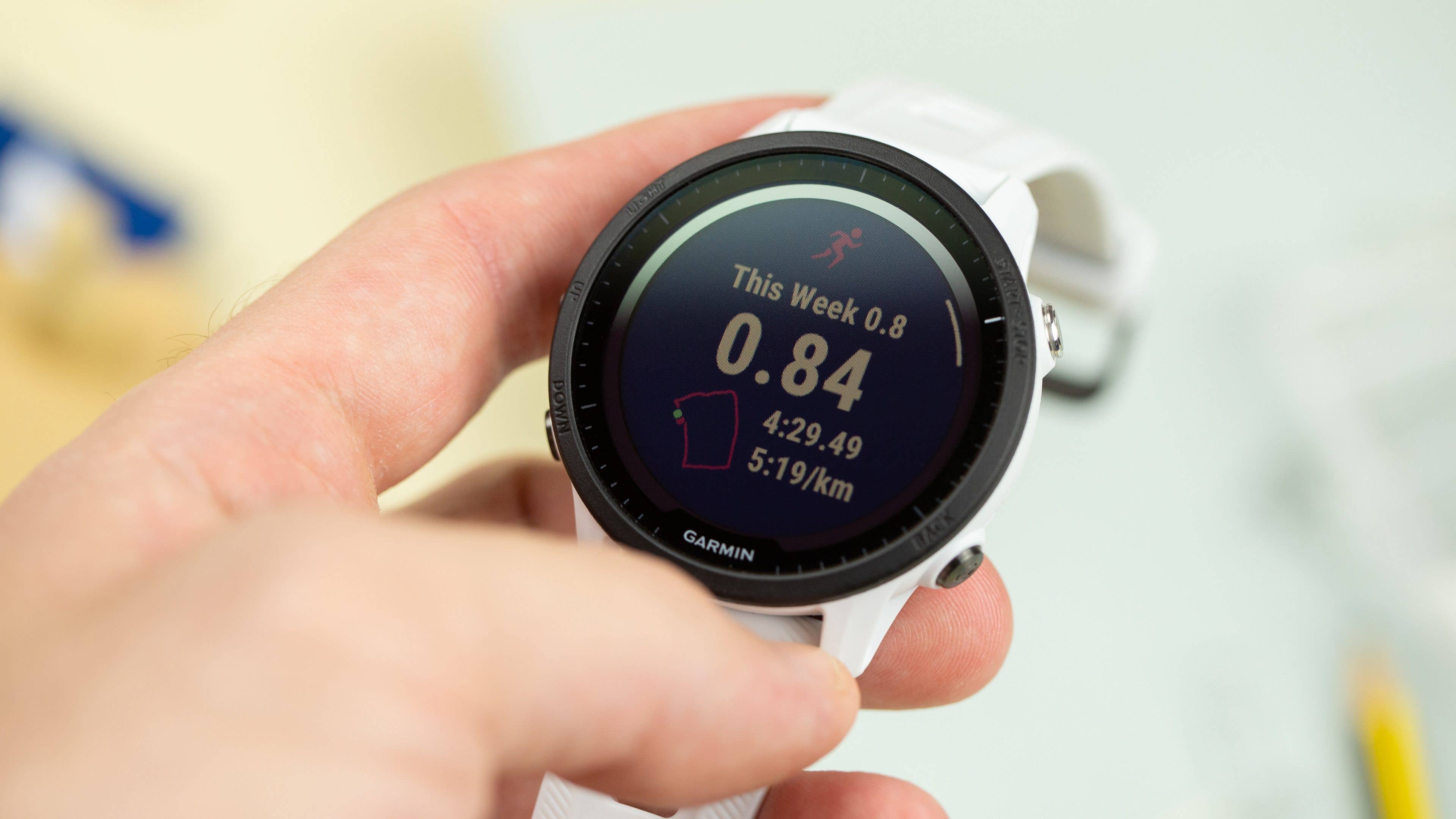 Verglichen mit modernen AMOLED-Panels ist das Display der Garmin Forerunner 955 keine Schönkeit. Garmin Forerunner 955