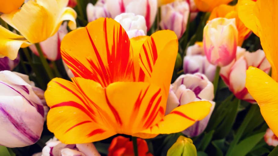 Poco F5 Pro review picture for NextPit.com