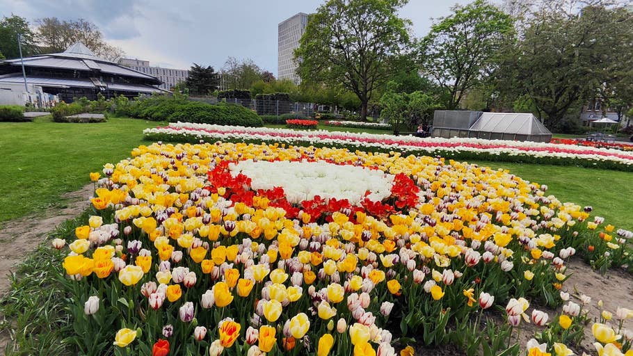 Poco F5 Pro review picture for NextPit.com