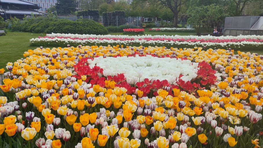 Poco F5 Pro review picture for NextPit.com