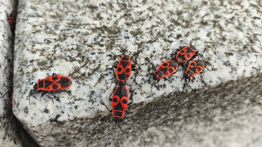 Poco F5 Pro review picture for NextPit.com