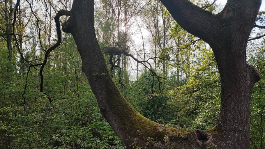 Poco F5 Pro review picture for NextPit.com