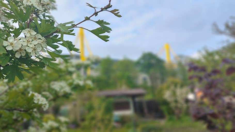 Poco F5 Pro review picture for NextPit.com