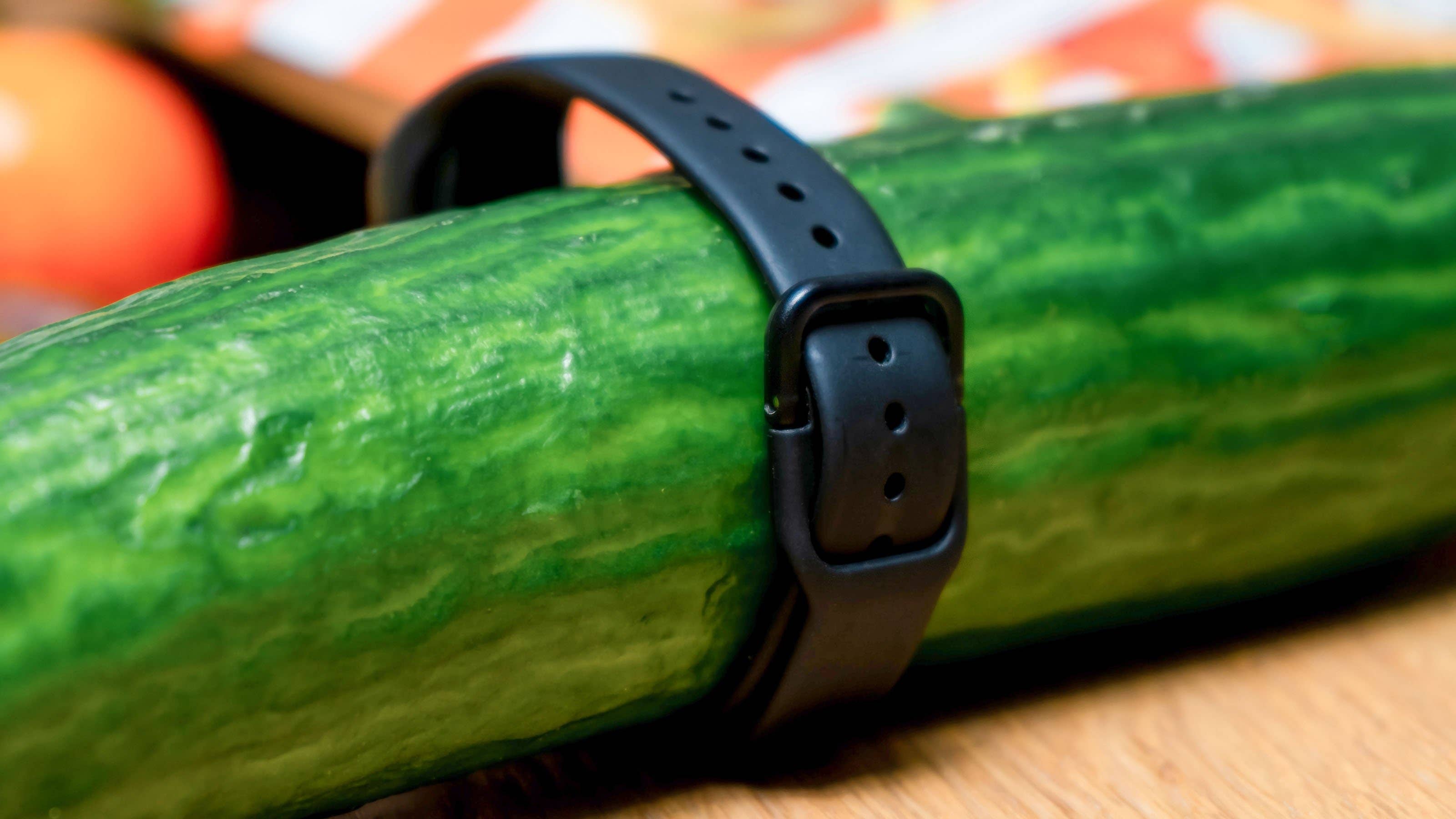 NextPit Samsung Galaxy Fit 2 Verschluss