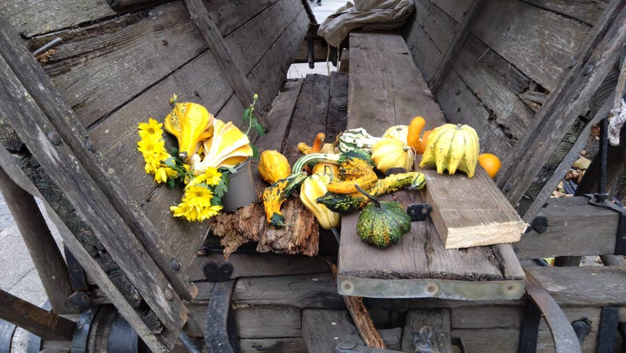 Sony Xperia 10 IV sample photo