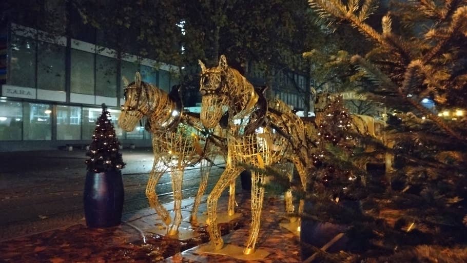 Sony Xperia 10 IV sample photo