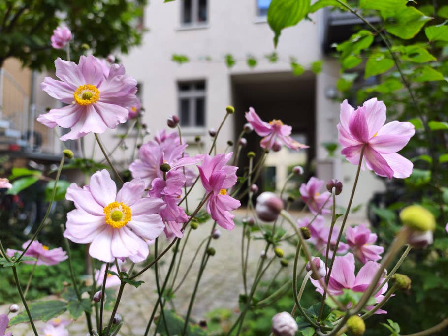 Xiaomi 12S Ultra photo samples