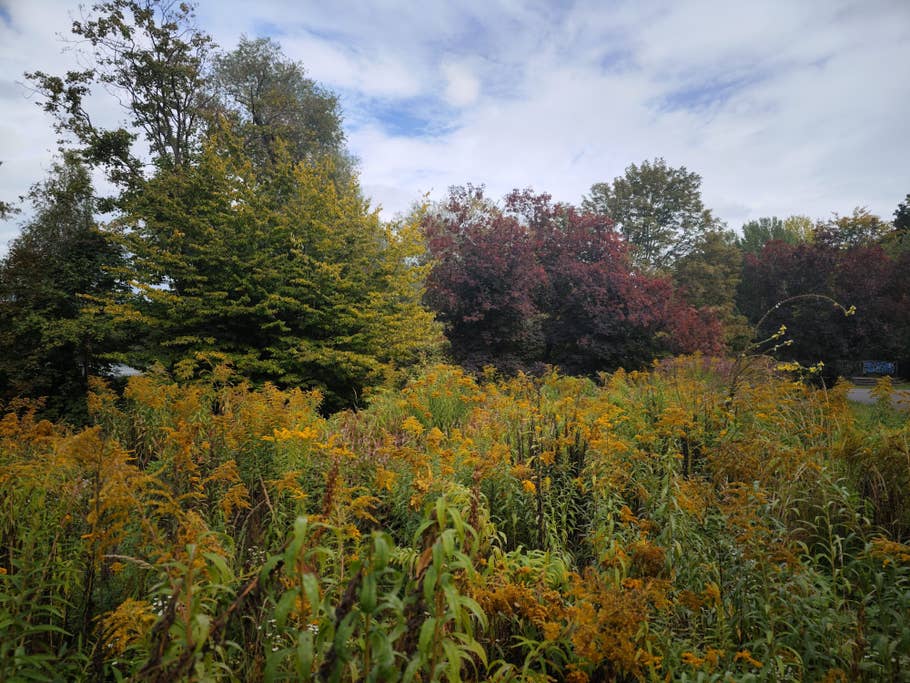 Xiaomi 12S Ultra photo samples