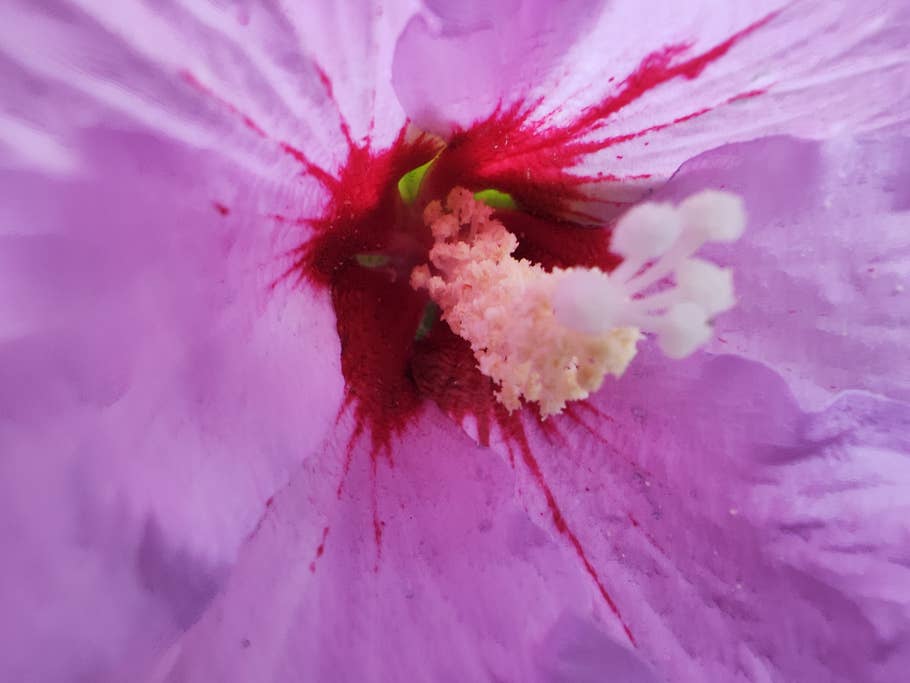 Xiaomi 12S Ultra photo samples