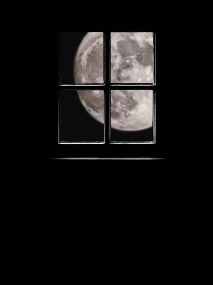 Xiaomi 12S Ultra photo samples