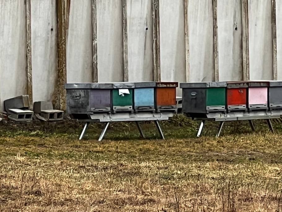 Apple iPhone 13 Pro Max review, camera test