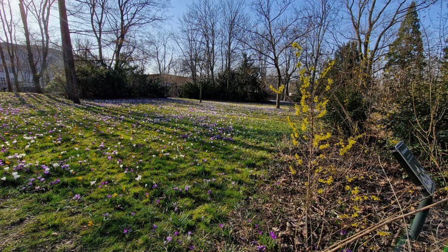 Samsung Galaxy S22 Review images