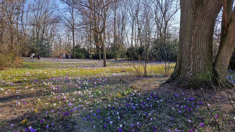 Samsung Galaxy S22 Review images