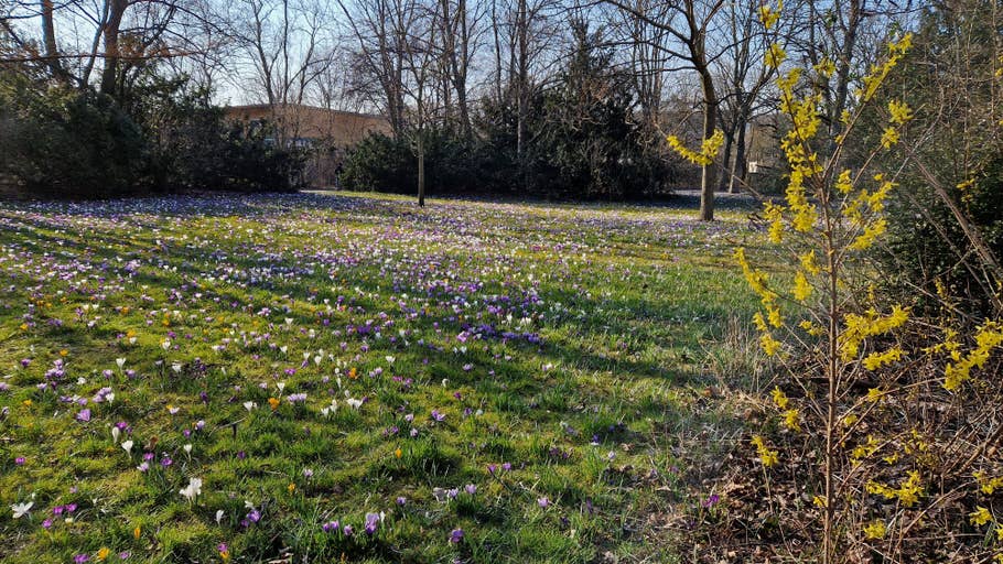 Samsung Galaxy S22 Review images