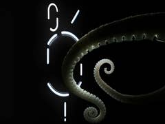 Nothing Phone (2) teaser