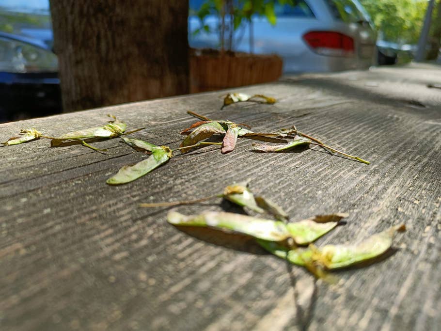 OnePlus Nord 2T photo gallery