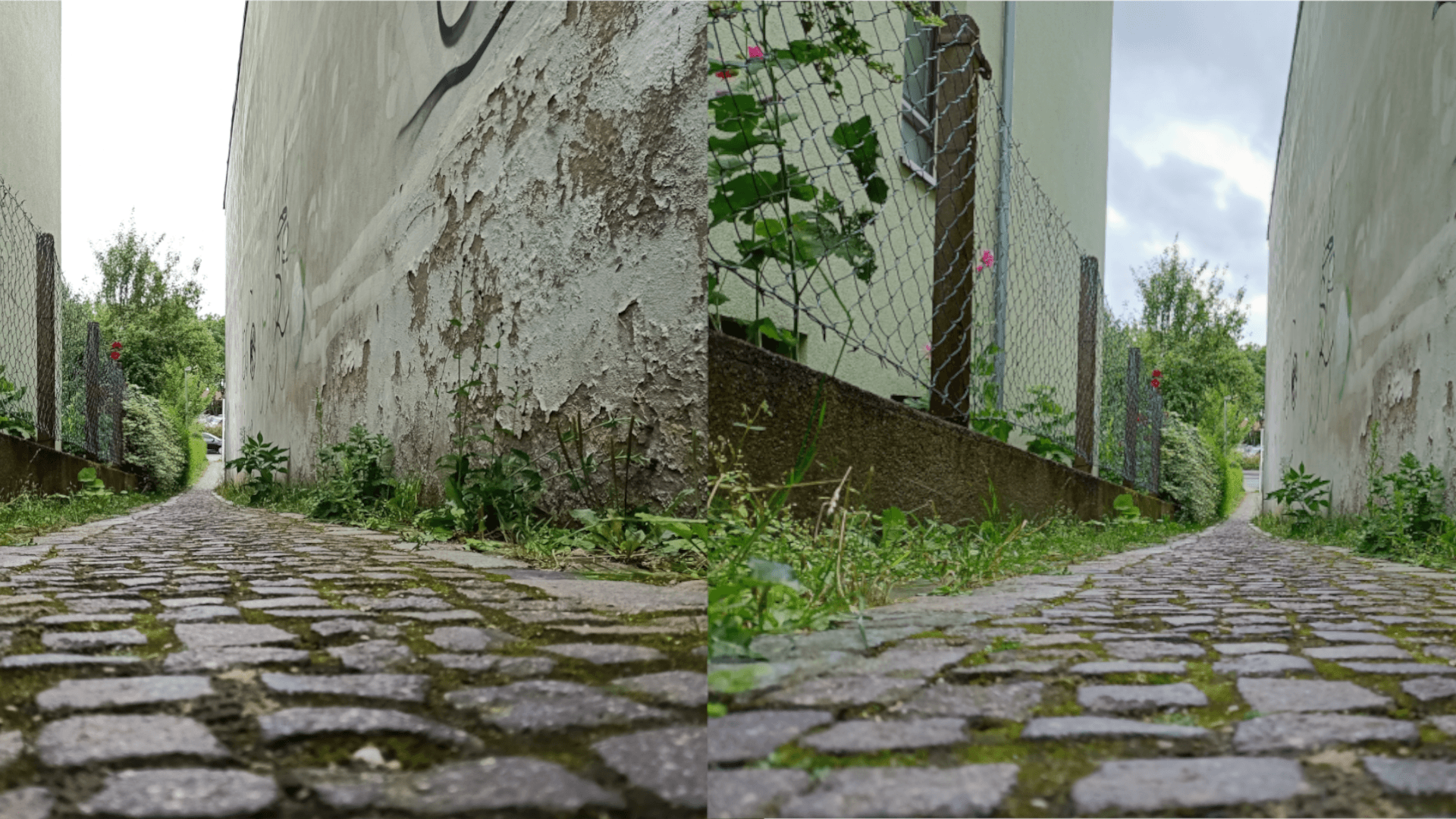 Oppo a91 kamera test