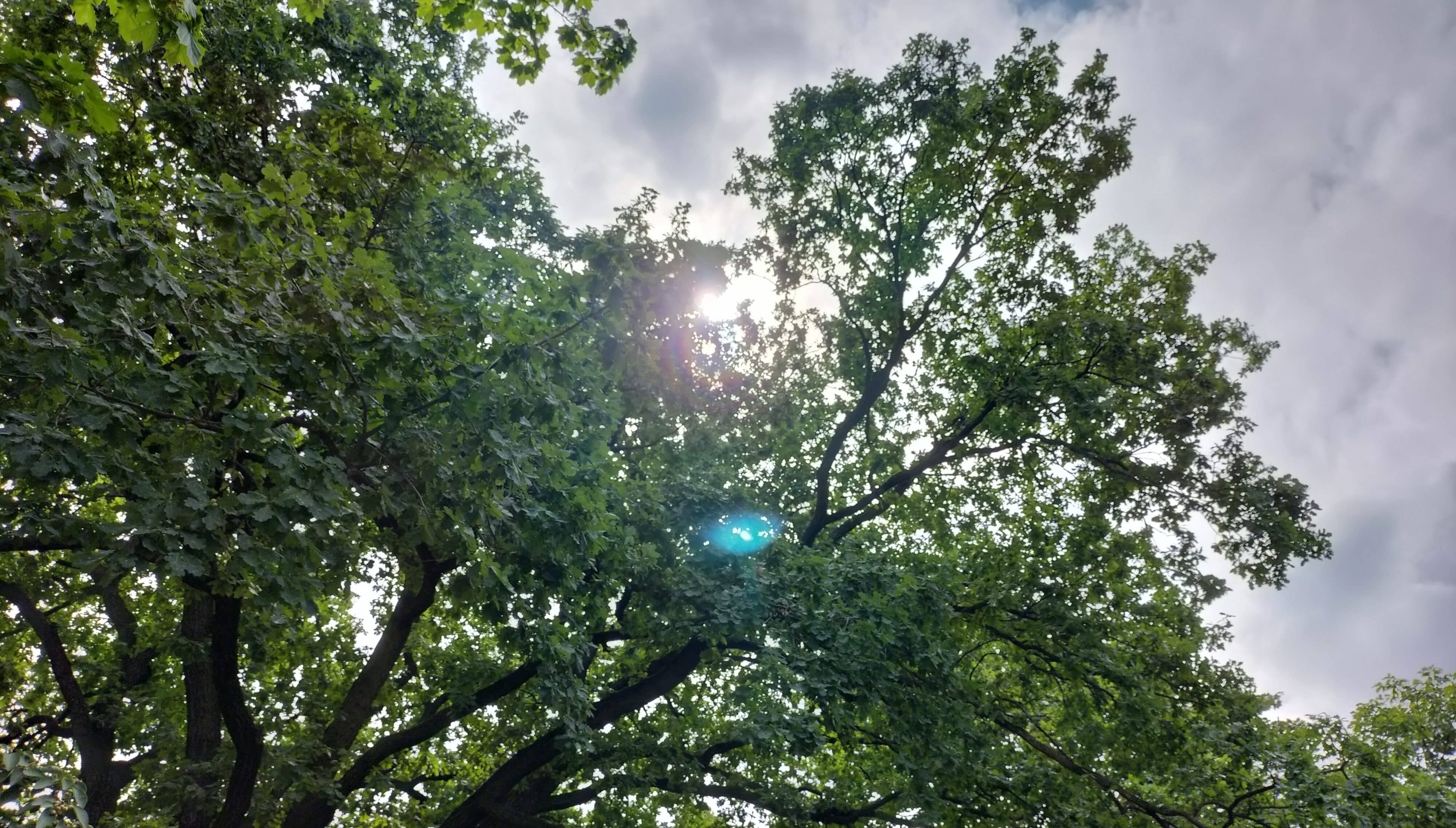 Oppo A54 5G Sunshine NextPit