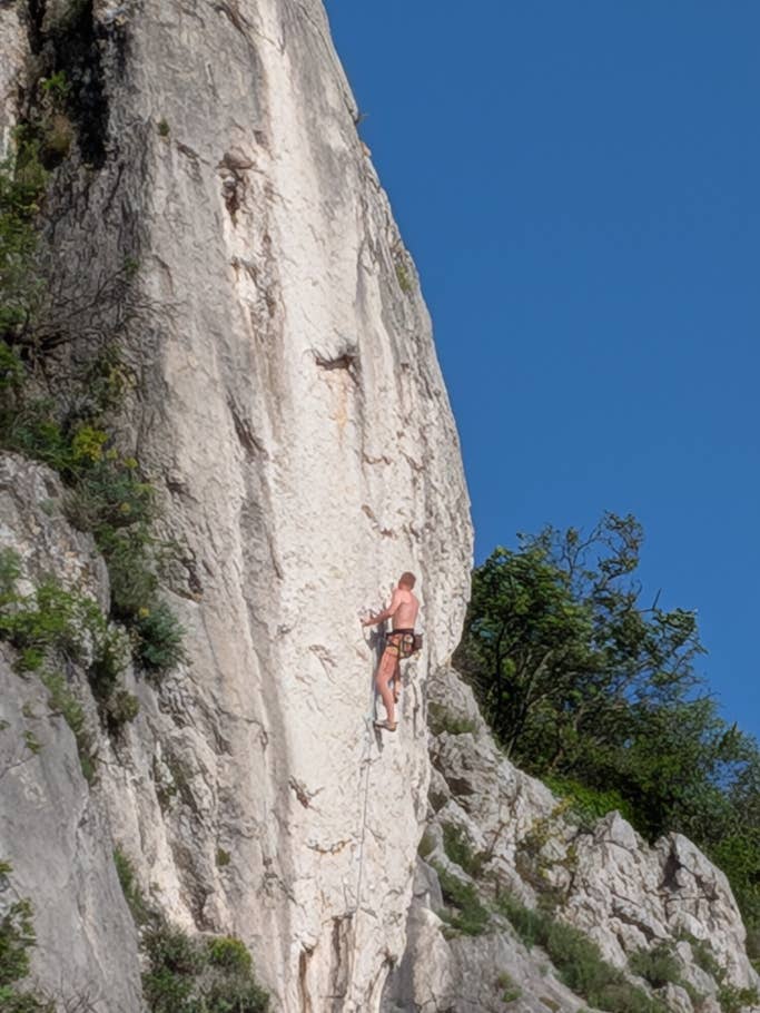 Google Pixel 9a: Main camera (8x digital zoom)