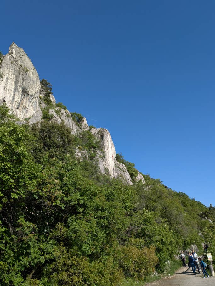 Google Pixel 9a: Main camera