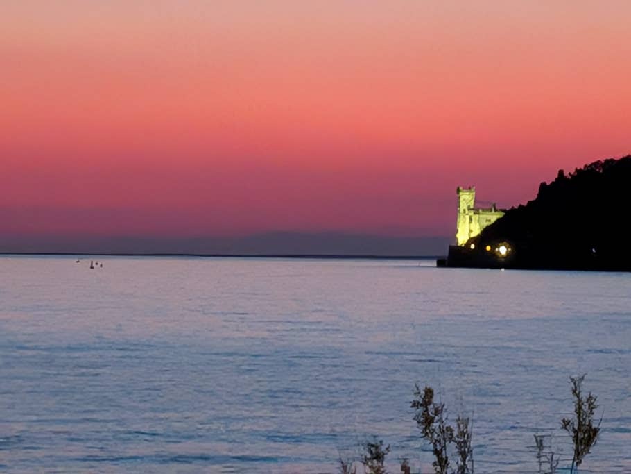 Google Pixel 9a: Main camera (8x digital zoom)