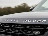 Range Rover logo close up view