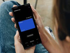 Samsung Wallet app payment and ID storage