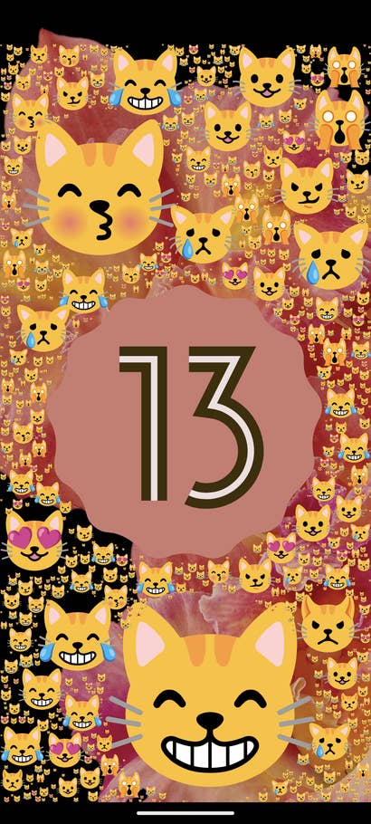 Android 13 Easter Egg