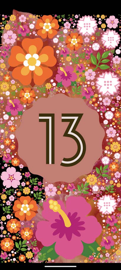 Android 13 Easter Egg