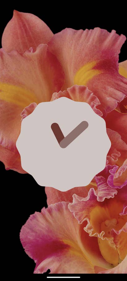 Android 13 Easter Egg