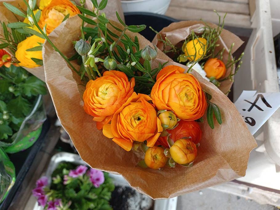 Samsung Galaxy A32 5G, camera test, results